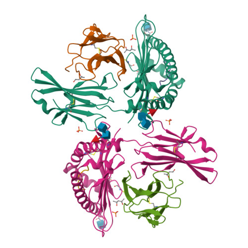 Rcsb Pdb 1fzj Mhc Class I Natural Mutant H 2kbm1 Heavy Chain Complexed With Beta 2 Microglobulin And Vesicular Stomatitis Virus Nucleoprotein