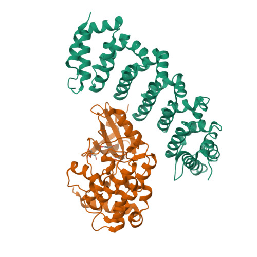 Rcsb Pdb 4fza Crystal Structure Of Mst4 Mo25 Complex
