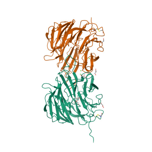 Rcsb Pdb 5fzp Structure Of The Dispase Autolysis Inducing Protein From Streptomyces Mobaraensis