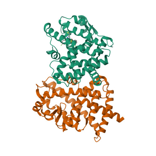 Rcsb Pdb 2g0g Structure Based Drug Design Of A Novel Family Of Ppar Partial Agonists Virtual Screening X Ray Crystallography And In Vitro In Vivo Biological Activities