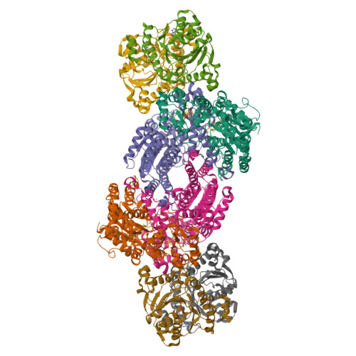 Rcsb Pdb 1g21 Mgatp Bound And Nucleotide Free Structures Of A Nitrogenase Protein Complex Between Leu127del Fe Protein And The Mofe Protein