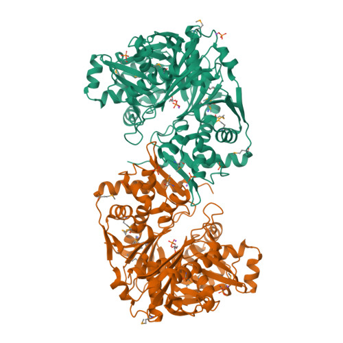 Protein Data Bank: 3G25