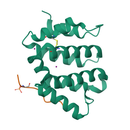 Rcsb Pdb 3g2v Vhs Domain Of Human Gga1 Complexed With Sotilin C Terminal Phosphopeptide