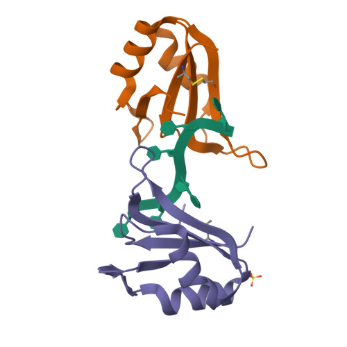 Rcsb Pdb 6g2k Structure Of Hur Rrm3 In Complex With Rna Uuuuuu