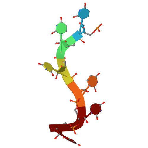 Rcsb Pdb 6g2k Structure Of Hur Rrm3 In Complex With Rna Uuuuuu