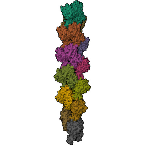 Rcsb Pdb 3g37 Cryo Em Structure Of Actin Filament In The Presence Of Phosphate