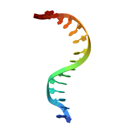 Rcsb Pdb 4g4n Mutm Containing M77a Mutation Bound To Undamaged Dna