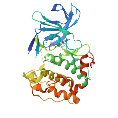 Rcsb Pdb 3g51 Structural Diversity Of The Active Conformation Of The N Terminal Kinase Domain Of P90 Ribosomal S6 Kinase 2