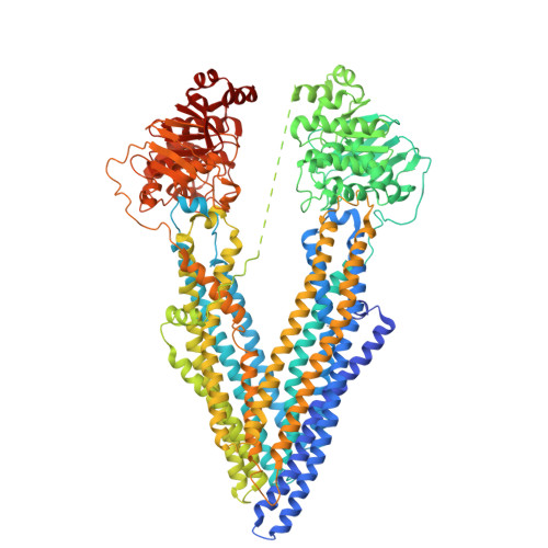 Rcsb Pdb 3g5u Structure Of P Glycoprotein Reveals A Molecular Basis For Poly Specific Drug Binding
