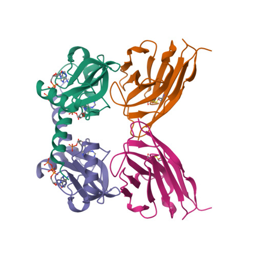 Rcsb Pdb 5g5x Cbs Domain Tandem Of Site 2 Protease From Archaeoglobus Fulgidus In Complex With Llama Nanobody Nucleotide Bound Form