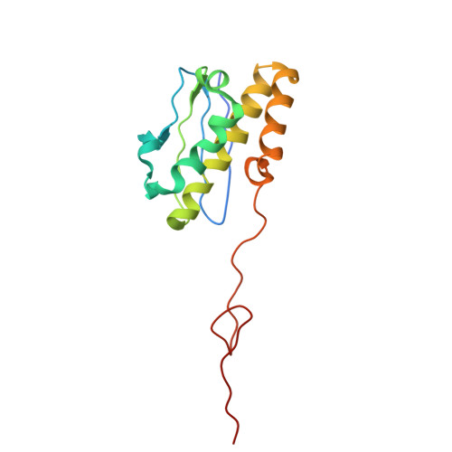 Rcsb Pdb 6g5h Cryo Em Structure Of A Late Human Pre 40s Ribosomal Subunit Mature