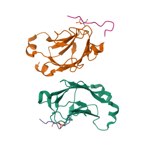 Rcsb Pdb 1g6g X Ray Structure Of The N Terminal Fha Domain From S Cerevisiae Rad53p In Complex With A Phosphothreonine Peptide At 1 6 A Resolution