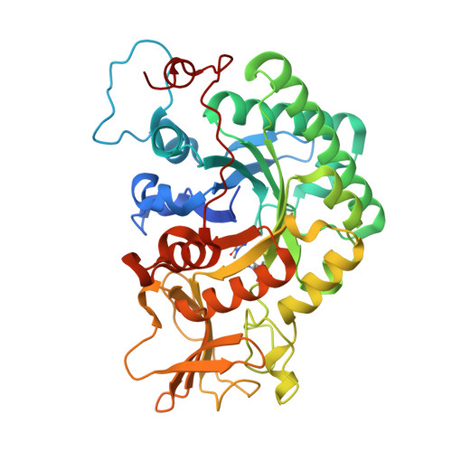 Rcsb Pdb 3g6m Crystal Structure Of A Chitinase Crchi1 From The Nematophagous Fungus Clonostachys Rosea In Complex With A Potent Inhibitor Caffeine