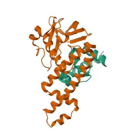 Protein Data Bank: 4G6D