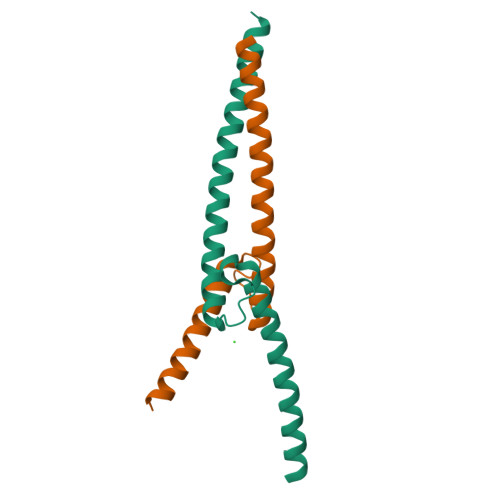 Rcsb Pdb 6g6k The Crystal Structures Of Human Myc Max Bhlhzip Complex