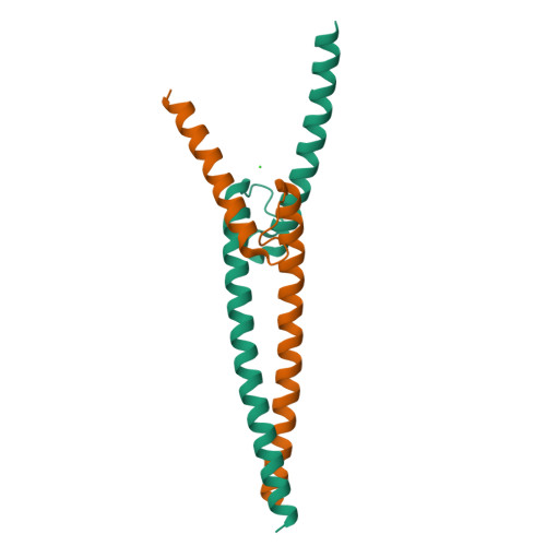 Rcsb Pdb 6g6k The Crystal Structures Of Human Myc Max Bhlhzip Complex