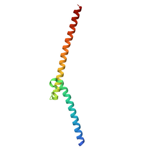 Rcsb Pdb 6g6k The Crystal Structures Of Human Myc Max Bhlhzip Complex