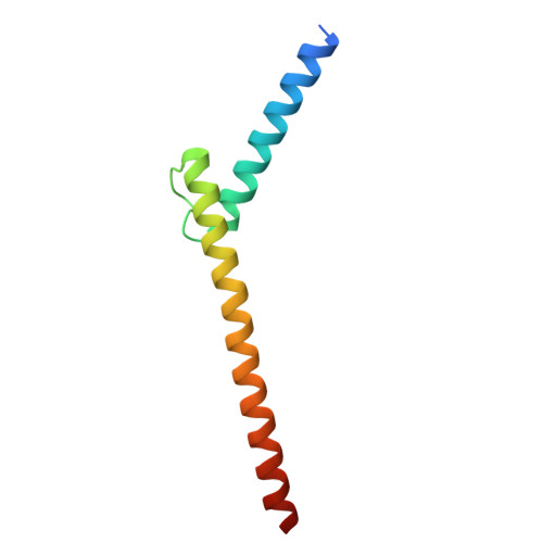 Rcsb Pdb 6g6k The Crystal Structures Of Human Myc Max Bhlhzip Complex