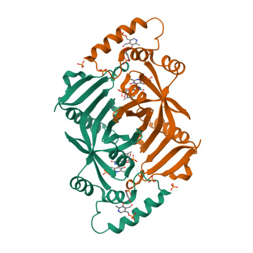 Rcsb Pdb 1g79 X Ray Structure Of Escherichia Coli Pyridoxine 5 Phosphate Oxidase Complexed With Pyridoxal 5 Phosphate At 2 0 A Resolution