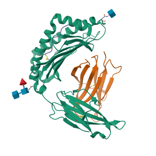 Rcsb Pdb 1g7q Crystal Structure Of Mhc Class I H 2kb Heavy Chain Complexed With Beta 2 Microglobulin And Muc1 Vntr Peptide Sapdtrpa