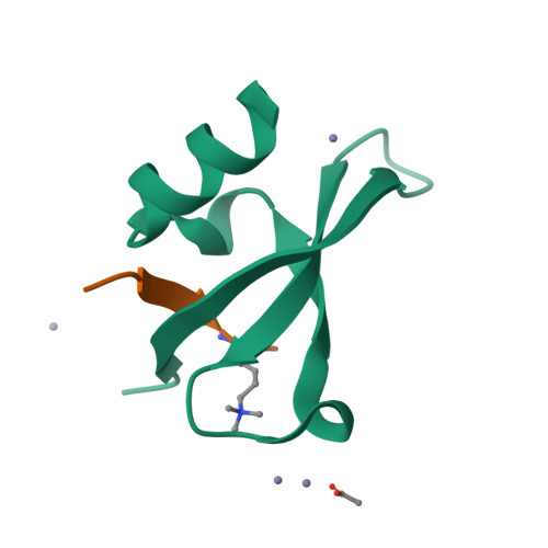 Rcsb Pdb 3g7l Chromodomain Of Chp1 In Complex With Histone H3k9me3 Peptide