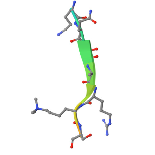 Rcsb Pdb 3g7l Chromodomain Of Chp1 In Complex With Histone H3k9me3 Peptide