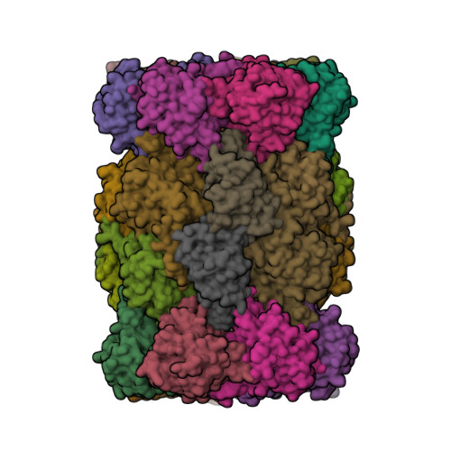 Rcsb Pdb 6g7f Yeast s Proteasome In Complex With Cystargolide B