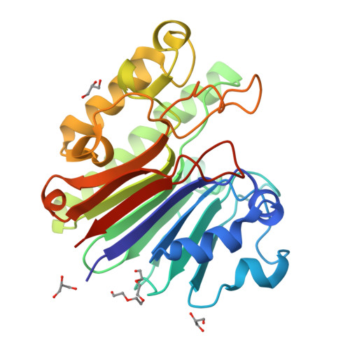 Rcsb Pdb 3g8v The Rationally Designed Catalytically Inactive Mutant Mth0212 D151n