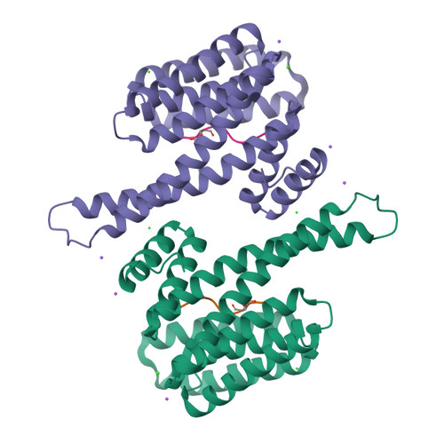 Rcsb Pdb 6g8q 14 3 3sigma In Complex With A A130beta3a And Q133beta3q Mutated Yap Ps127 Phosphopeptide