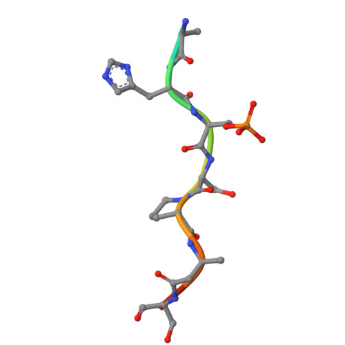 Rcsb Pdb 6g8q 14 3 3sigma In Complex With A A130beta3a And Q133beta3q Mutated Yap Ps127 Phosphopeptide