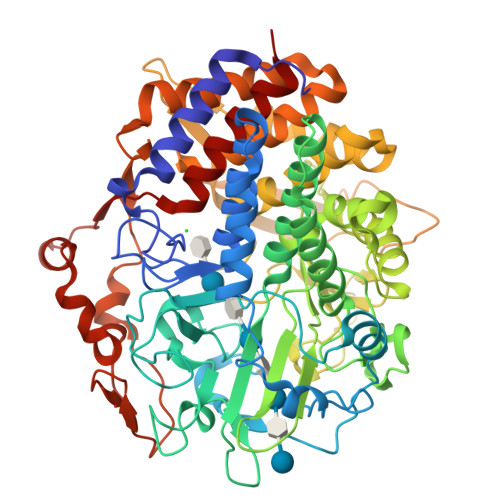 Rcsb Pdb 1g9j X Tal Structure Of The Mutant E44q Of The Cellulase Cel48f In Complex With A Thiooligosaccharide