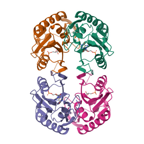 Rcsb Pdb 1g9s Crystal Structure Of A Complex Between E Coli Hprt And Imp