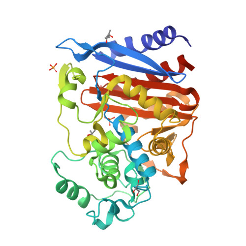 Rcsb Pdb 6g9t Crystal Structure Of Cmy 136 Class C Beta Lactamase