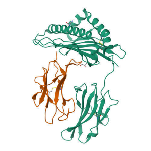 Rcsb Pdb 6gb6 Structure Of H 2kb With Dipeptide Gl