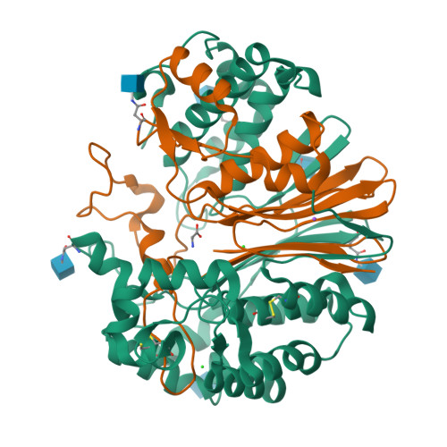 Rcsb Pdb 4gdx Crystal Structure Of Human Gamma Glutamyl Transpeptidase Glutamate Complex