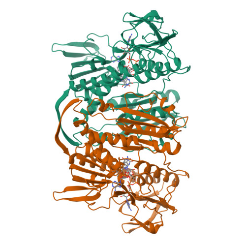 Rcsb Pdb 1get Anatomy Of An Engineered Nad Binding Site