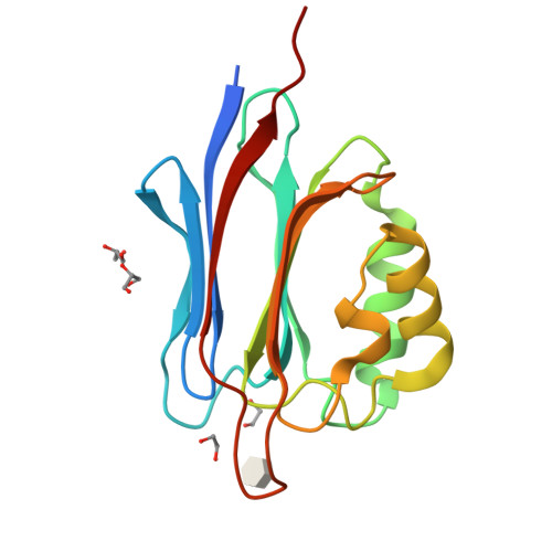 Rcsb Pdb 5ggk Crystal Structure Of N Terminal Domain Of Human Protein O Mannose Beta 1 2 N Acetylglucosaminyltransferase In Complex With Man Beta Pnp