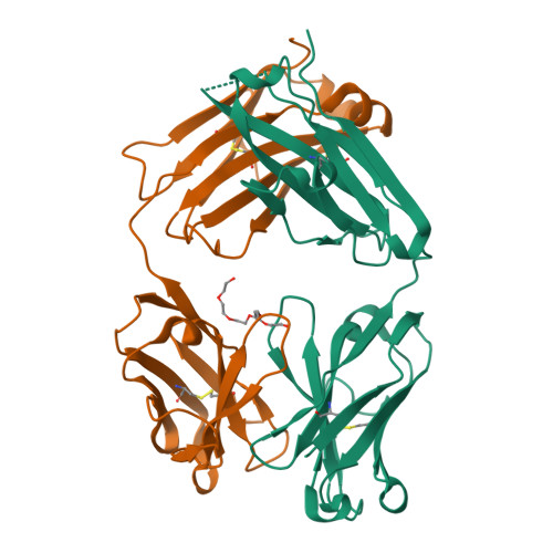 Rcsb Pdb 6ghg Variable Heavy Variable Light Domain And Fab Arm Crossmabs With Charged Residue Exchanges