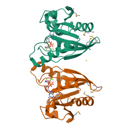 Rcsb Pdb 2gj8 Structure Of The Mnme G Domain In Complex With Gdp Alf4 Mg2 And K