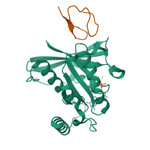 Rcsb Pdb 3gj5 Crystal Structure Of Human Rangdp Nup153znf4 Complex