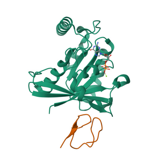 Rcsb Pdb 3gj5 Crystal Structure Of Human Rangdp Nup153znf4 Complex