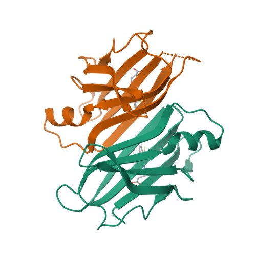 Rcsb Pdb 3glz Human Transthyretin Ttr Complexed With E 3 2 Trifluoromethyl Benzylideneaminooxy Propanoic Acid Inhibitor 11