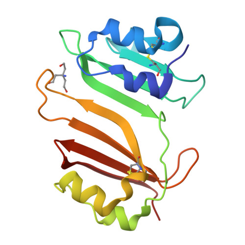 Rcsb Pdb 3gmv Crystal Structure Of Beta Lactamse Inhibitory Protein I Blip I In Apo Form