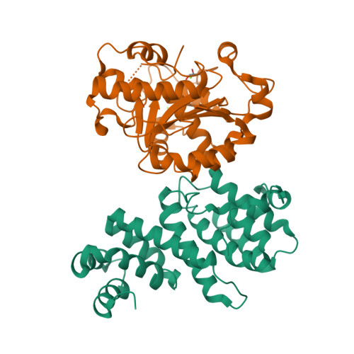 4gmj Structure Of Human Not1 Mif4g Domain Co Crystallized With Caf1 Rcsb Pdb