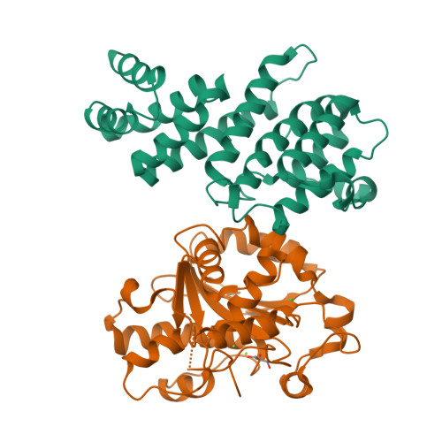 Rcsb Pdb 4gmj Structure Of Human Not1 Mif4g Domain Co Crystallized With Caf1