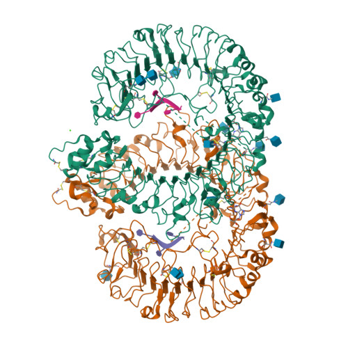 Rcsb Pdb 5gmf Crystal Structure Of Monkey Tlr7 In Complex With Guanosine And Polyu