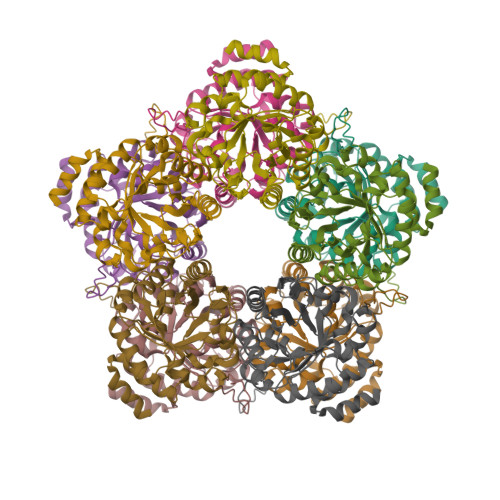 Rcsb Pdb 3gnd Crystal Structure Of E Coli Lsrf In Complex With Ribulose 5 Phosphate