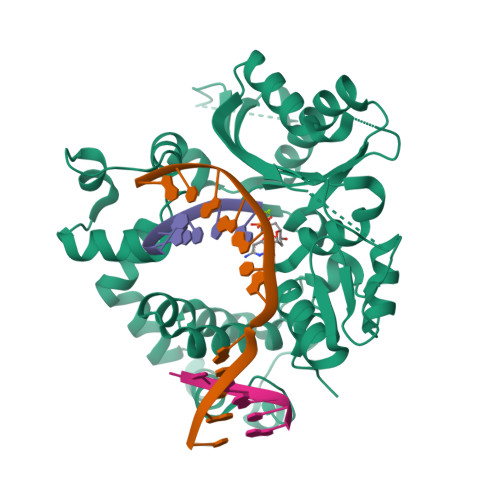 Rcsb Pdb 6go5 Tdt Chimera Loop1 Of Pol Mu Ternary Complex With 1 Nt Gapped Dna Substrate
