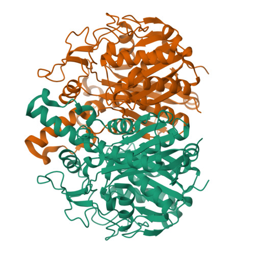 Protein Data Bank: 2GQD