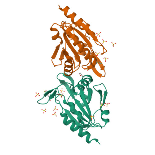 Rcsb Pdb 4gqc Crystal Structure Of Aeropyrum Pernix Peroxiredoxin Q Enzyme In Fully Folded And Locally Unfolded Conformations